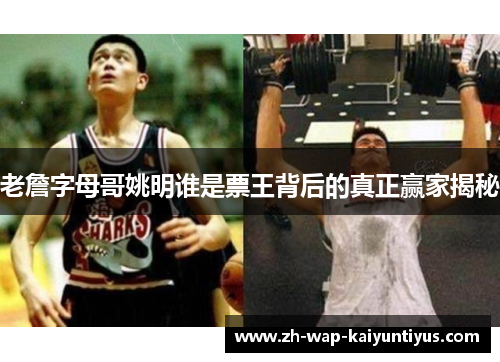 老詹字母哥姚明谁是票王背后的真正赢家揭秘